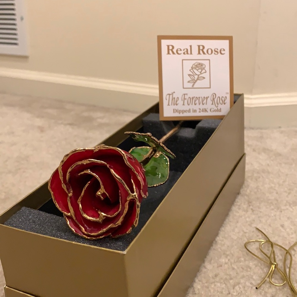 Forever Rose
